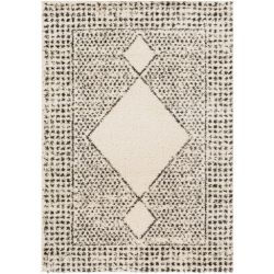 Surya Beni Shag BSH-2332 Black Area Rug