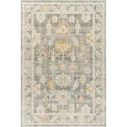 Surya Bitlis BSI-2303 Area Rug