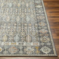 Surya Bitlis BSI-2304 Area Rug