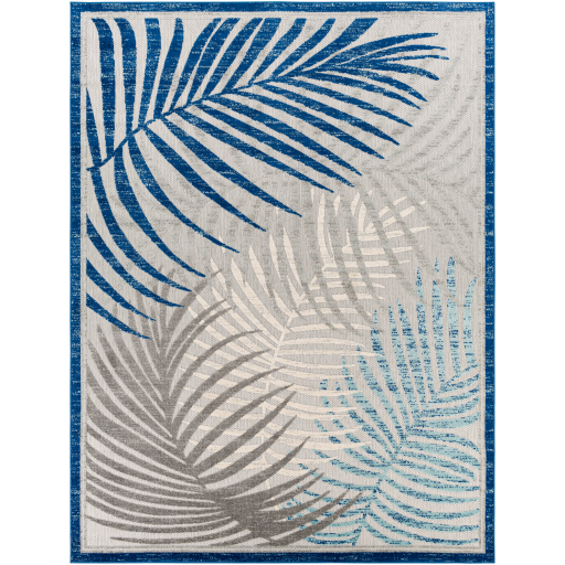 Surya Big Sur BSR-2312 Aqua Area Rug