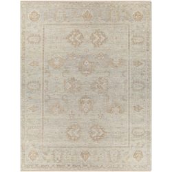 Surya Biscayne BSY-2313 Light Gray Area Rug