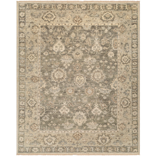 Surya Biscayne BSY-2316 Ivory Area Rug
