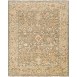 Surya Biscayne BSY-2318 Beige Area Rug