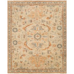 Surya Biscayne BSY-2320 Burnt Orange Area Rug