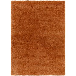 Surya Bogota Shag BTG-2306 Area Rug