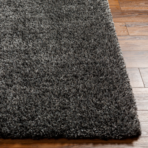 Surya Bogota Shag BTG-2309 Area Rug