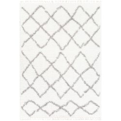 Surya California Shag CAF-2301 Gray Area Rug