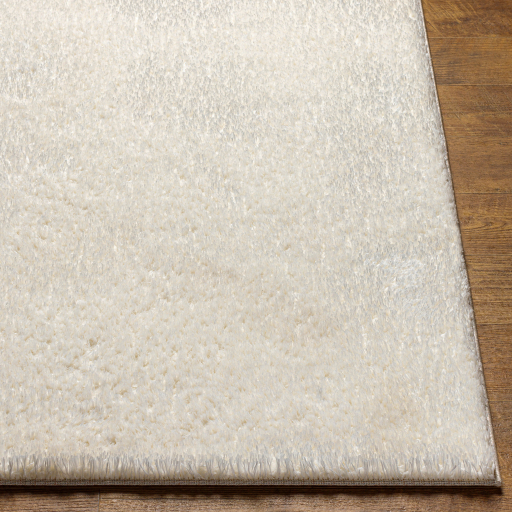 Surya Cloudy Shag CDG-2302 Area Rug - Image 2