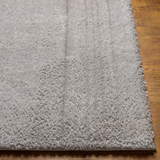 Surya Cloudy Shag CDG-2303 Area Rug - Image 3