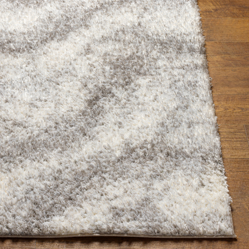 Surya Cloudy Shag CDG-2306 Area Rug - Image 2