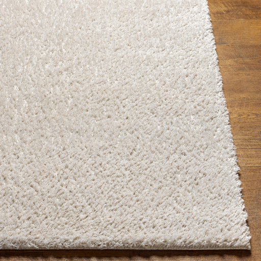 Surya Cloudy Shag CDG-2307 Area Rug - Image 3