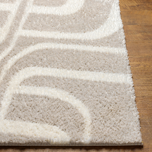 Surya Cloudy Shag CDG-2309 Area Rug - Image 3