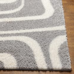 Alternative view of Surya Cloudy Shag CDG-2310 Area Rug