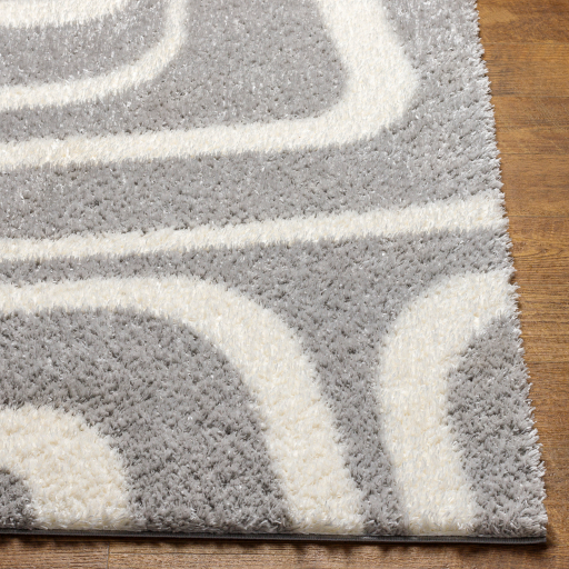 Surya Cloudy Shag CDG-2310 Area Rug - Image 2