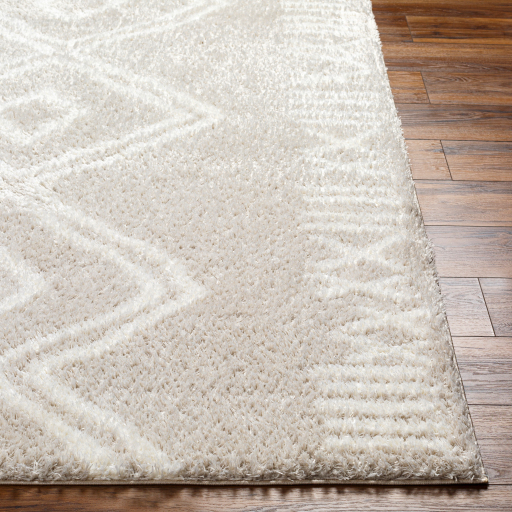 Surya Cloudy Shag CDG-2311 Area Rug - Image 3