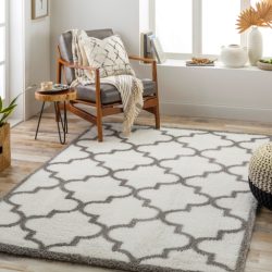 Surya Cloudy Shag CDG-2314 Area Rug