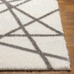 Alternative view of Surya Cloudy Shag CDG-2316 Area Rug