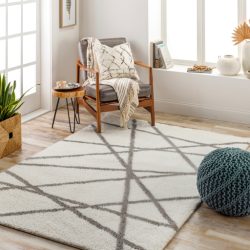 Surya Cloudy Shag CDG-2316 Area Rug