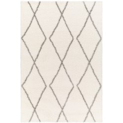 Surya Cloudy Shag CDG-2317 Area Rug