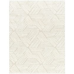 Surya Cloudy Shag CDG-2319 Area Rug
