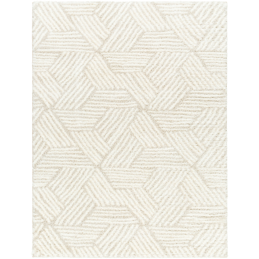 Surya Cloudy Shag CDG-2319 Area Rug