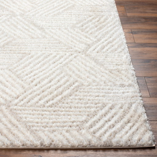 Surya Cloudy Shag CDG-2319 Area Rug - Image 2