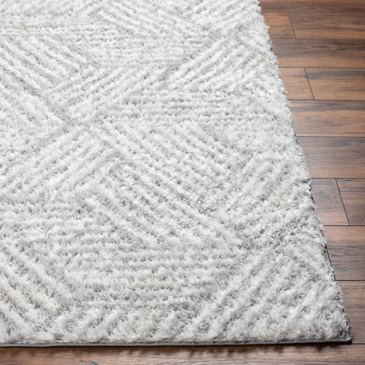 Surya Cloudy Shag CDG-2320 Area Rug