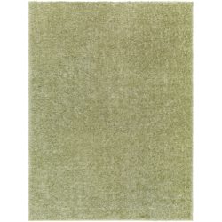 Surya Cloudy Shag CDG-2322 Area Rug