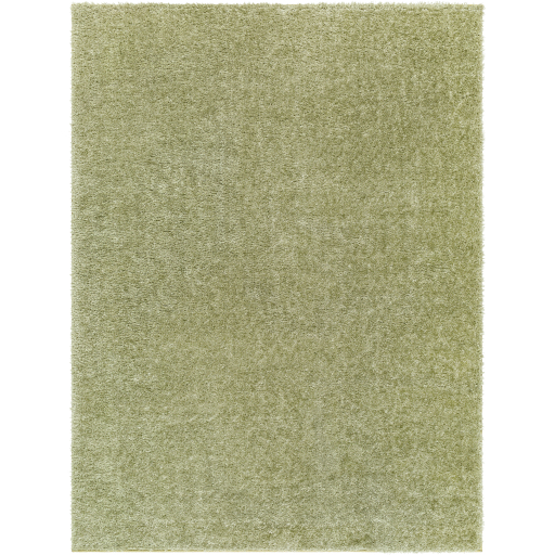 Surya Cloudy Shag CDG-2322 Area Rug