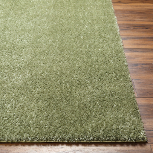 Surya Cloudy Shag CDG-2322 Area Rug - Image 3