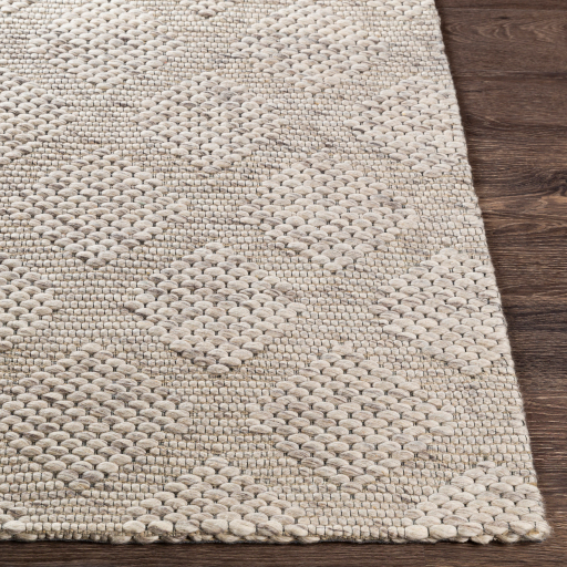 Surya Colarado CDO-2301 Black Area Rug - Image 3
