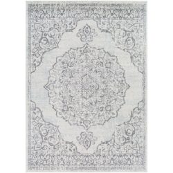 Surya Chester CHE-2376 Charcoal Area Rug