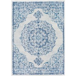 Surya Chester CHE-2378 Blue Area Rug