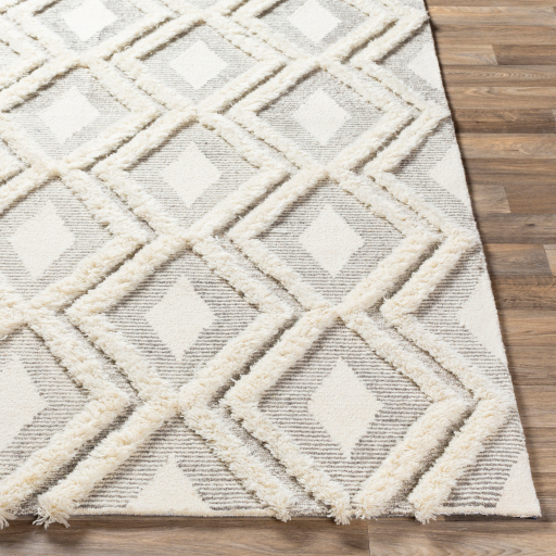 Surya Cherokee CHK-2305 Brown Area Rug - Image 2