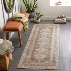 Surya Colin CLN-2303 Blue Area Rug