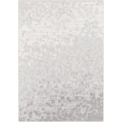 Surya Contempo CPO-3843 Light Gray Area Rug