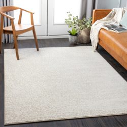 Surya Contempo CPO-3849 Brown Area Rug