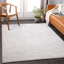Surya Contempo CPO-3852 Charcoal Area Rug