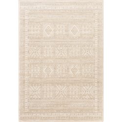 Surya Contempo CPO-3853 Brown Area Rug