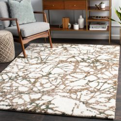 Surya Celestial Shag CSG-2300 Cream Area Rug