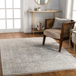 Surya Carlisle CSI-2309 Ivory Area Rug