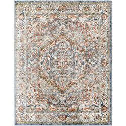 Surya Davaro DAV-2309 Area Rug