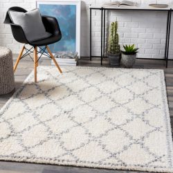 Surya Deluxe Shag DXS-2305 Medium Gray Area Rug