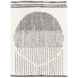 Surya Deluxe Shag DXS-2317 Charcoal Area Rug