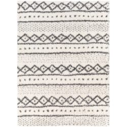 Surya Deluxe Shag DXS-2319 Charcoal Area Rug