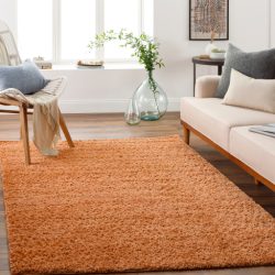 Surya Deluxe Shag DXS-2322 Area Rug