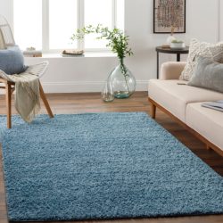 Surya Deluxe Shag DXS-2325 Area Rug