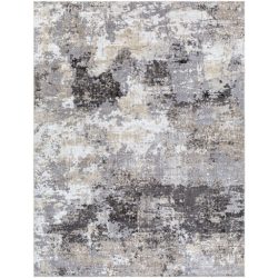 Surya Daytona Beach DYT-2303 Beige Area Rug