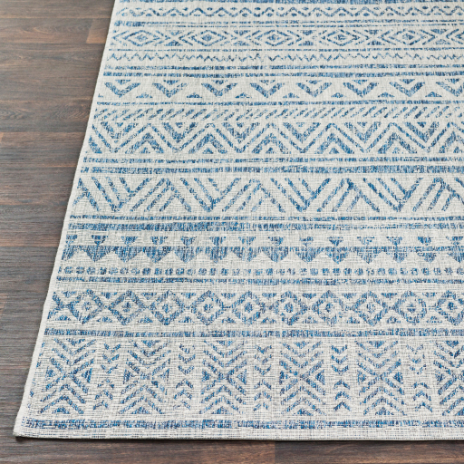Surya Eagean EAG-2306 Blue Area Rug - Image 3