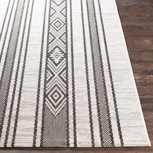 Surya Eagean EAG-2352 Black Area Rug - Image 3